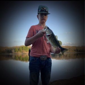 Meet your Posher, Stephen